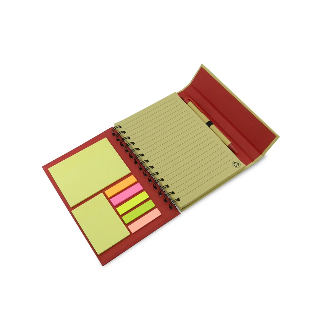 Miniatura 13