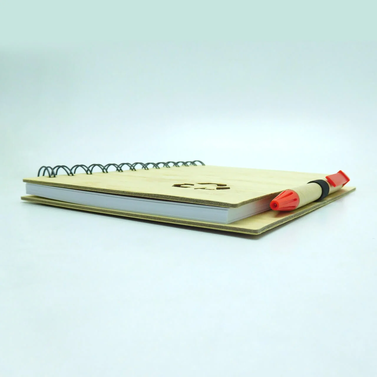 Miniatura 12