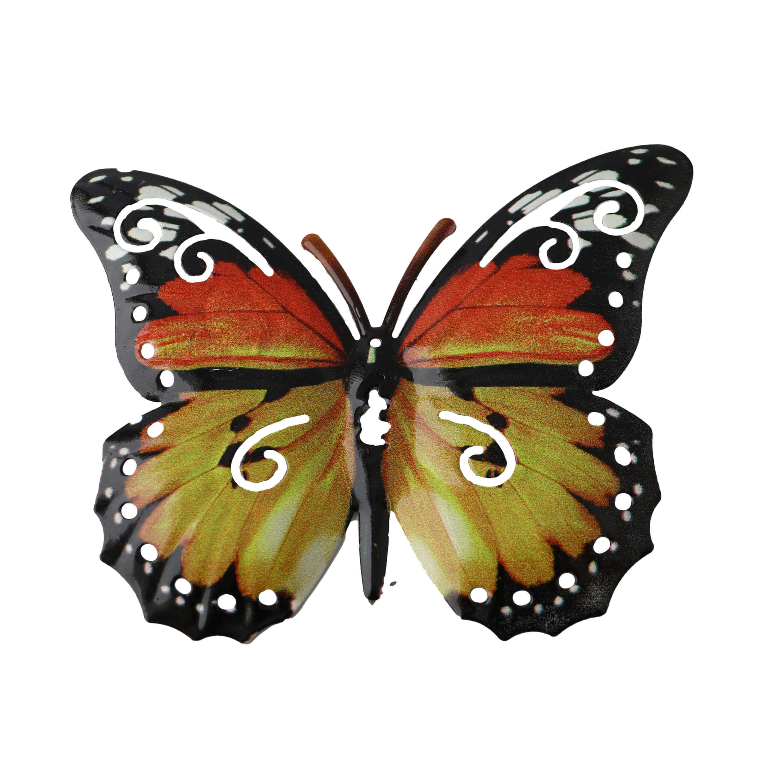 Miniatura 11