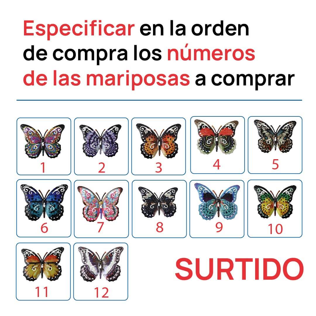 Miniatura 14